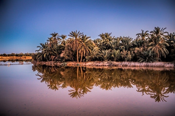 صور لواحه سيوه