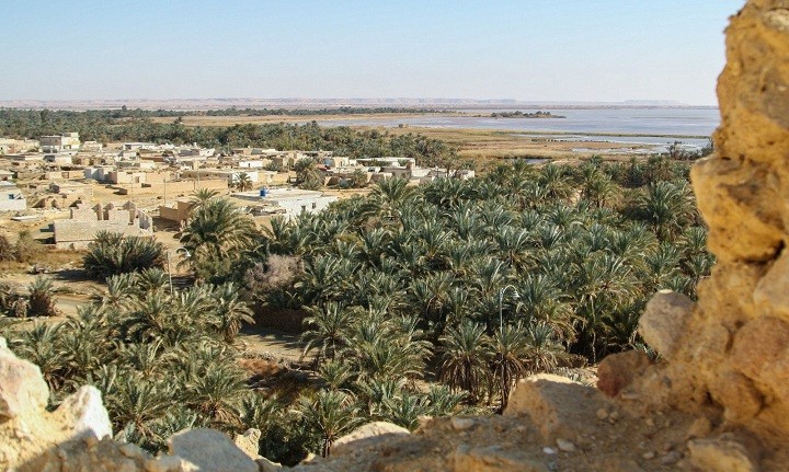 صور لواحه سيوه