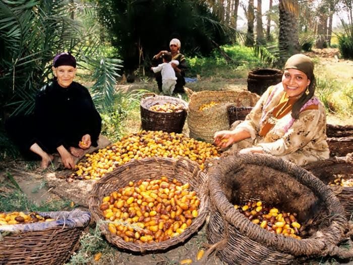 صور لواحه سيوه