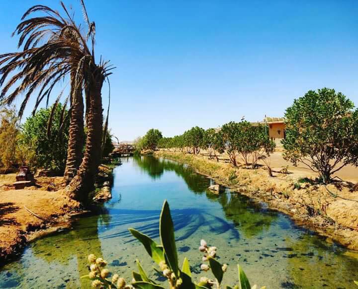 صور لواحه سيوه