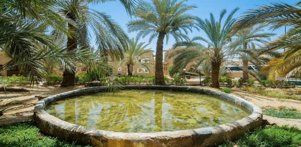 صور لواحه سيوه