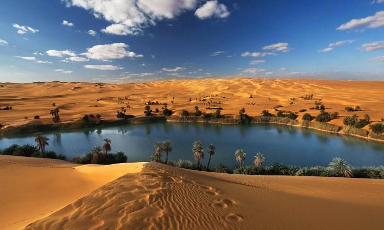 صور لواحه سيوه