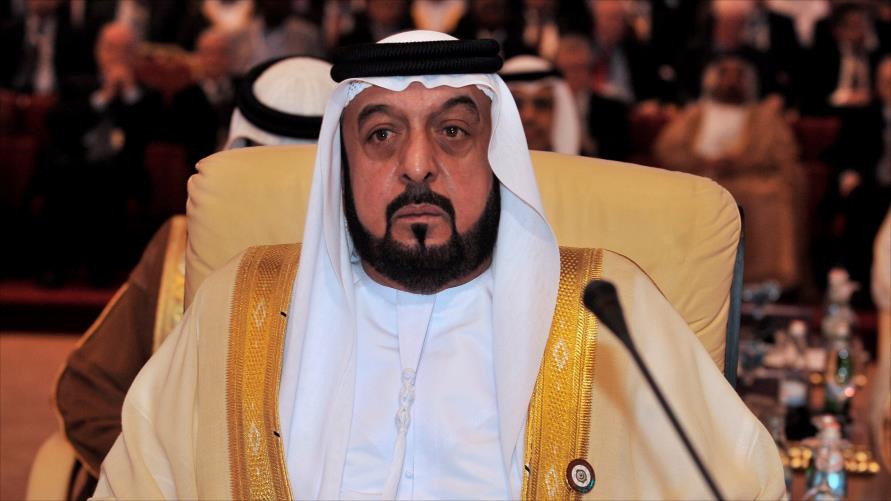 صور محمد بن زايد