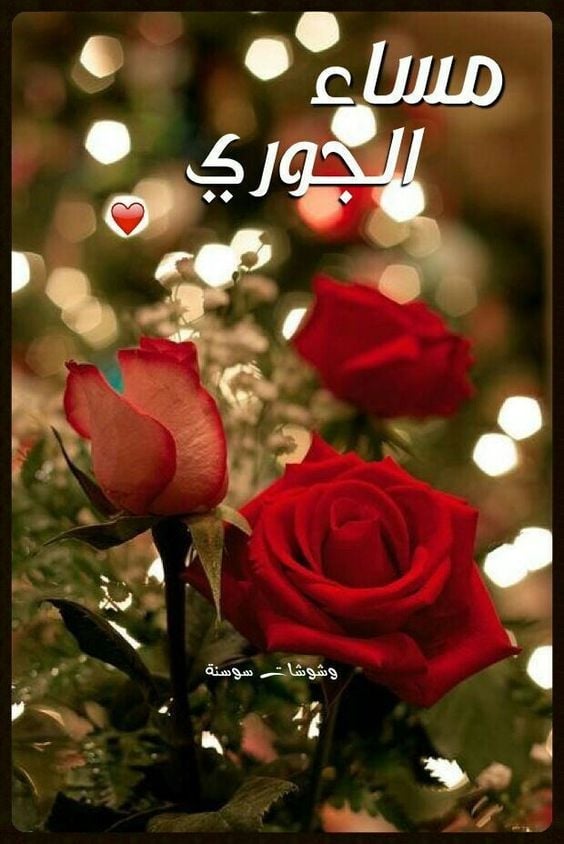 صور مساء