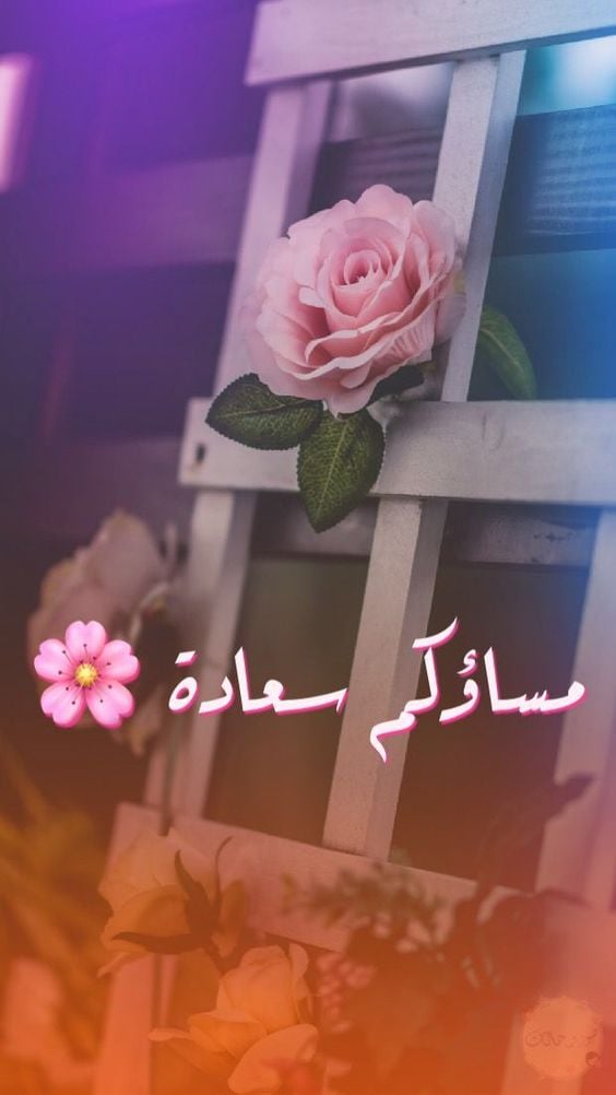 صور مساء