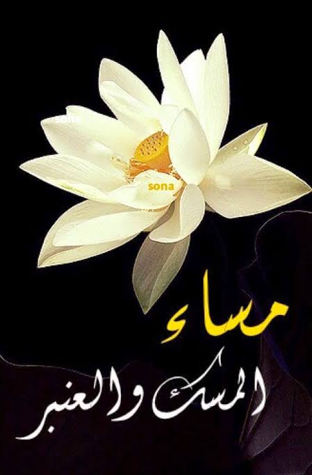 صور مساء