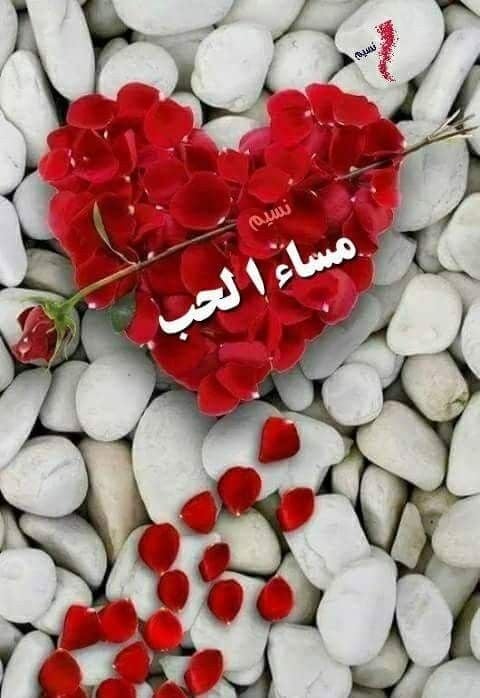 صور مساء