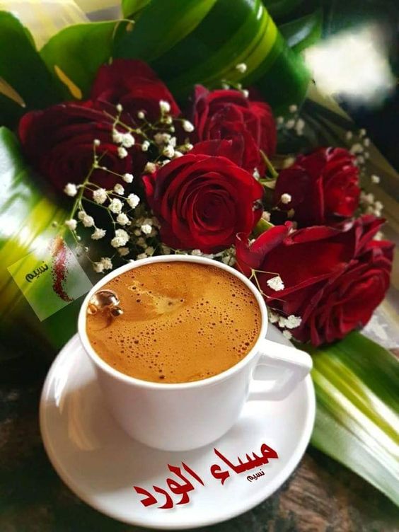 صور مساء