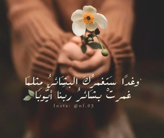 صور مكتوب عليها عبارات قوية