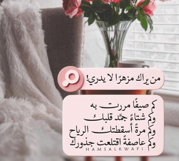 صور مكتوب عليها عبارات قوية