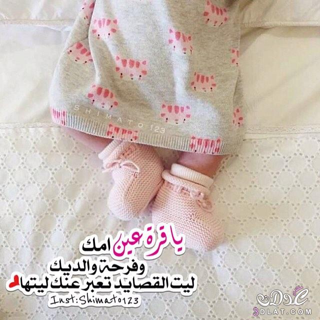 صور مولوده