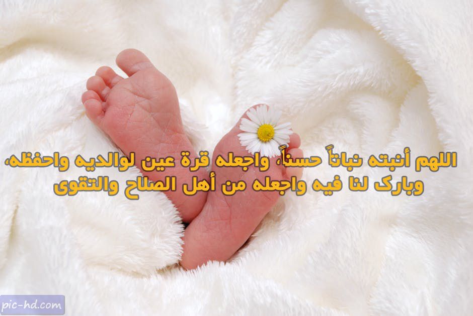 صور مولوده