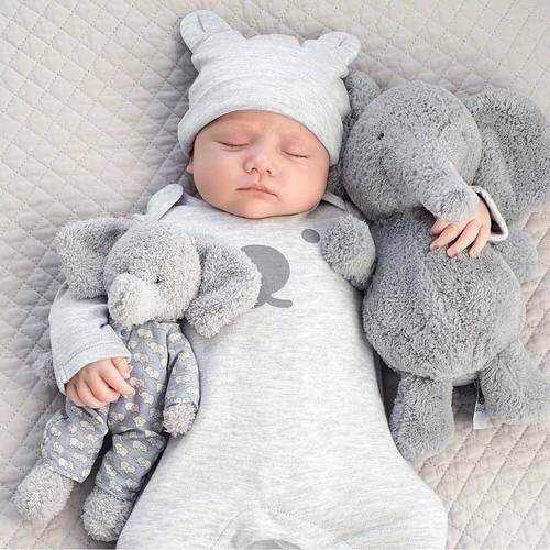 صور مولوده