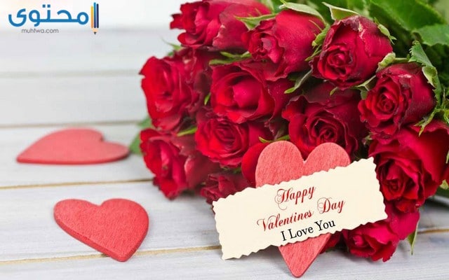 صور ورد طبيعية جميلة جدا