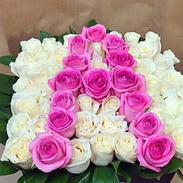 صور ورد طبيعية جميلة جدا