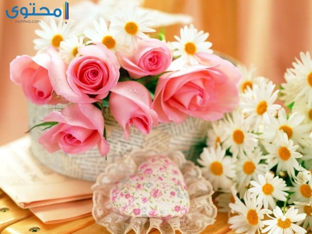 صور ورد طبيعية جميلة جدا