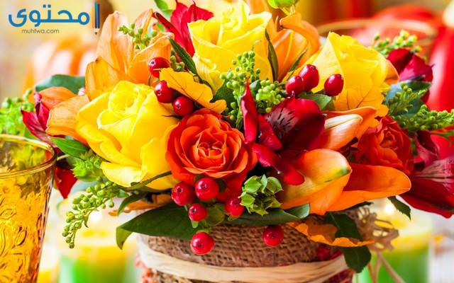 صور ورد طبيعية جميلة جدا