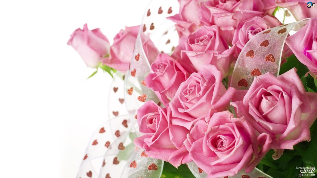 صور ورد طبيعية جميلة جدا