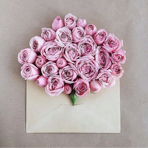 صور ورد طبيعية جميلة جدا