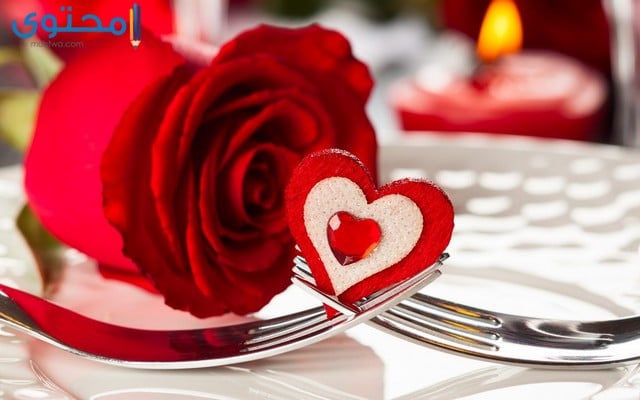 صور ورد طبيعية جميلة جدا