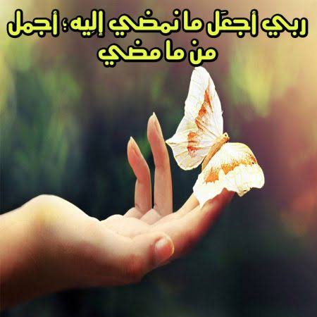 صورجميلة جديدة