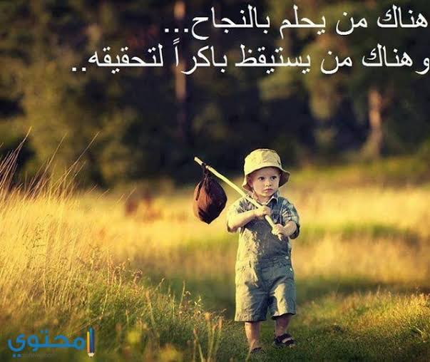 صورجميلة جديدة
