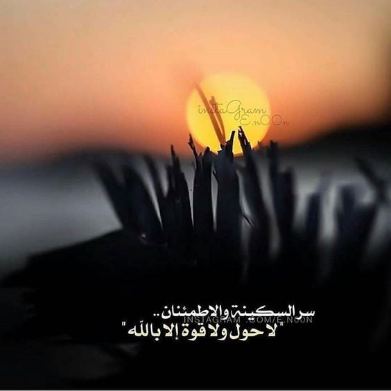 صورجميلة جديدة