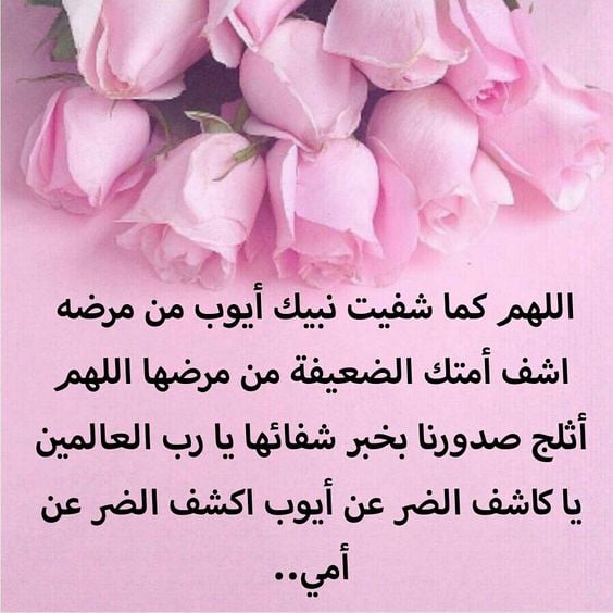 صورجميلة جديدة
