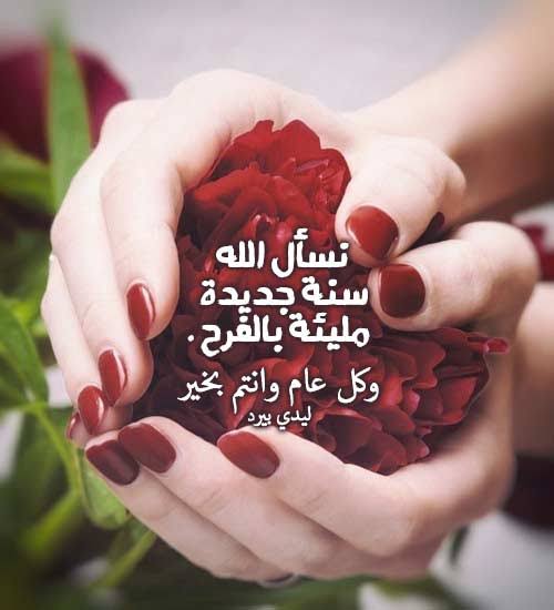 صورجميلة جديدة