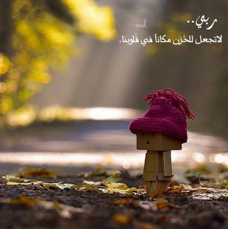 صورجميلة جديدة