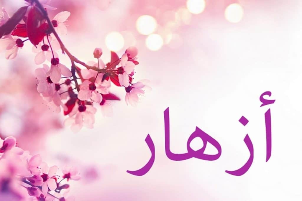صورجميلة مكتوب عليها اسماء بنات