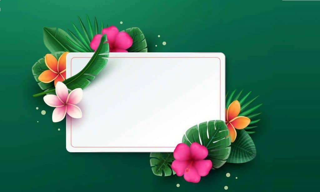صورجميلة مكتوب عليها اسماء بنات