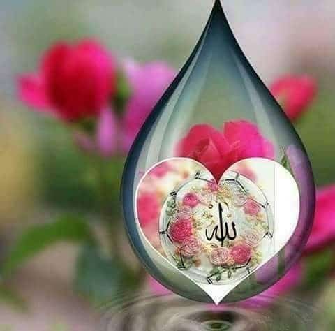 صورجميلة مكتوب عليها كلام الله