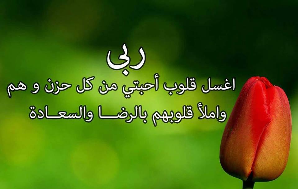 صورجميلة مكتوب عليها كلام جميل