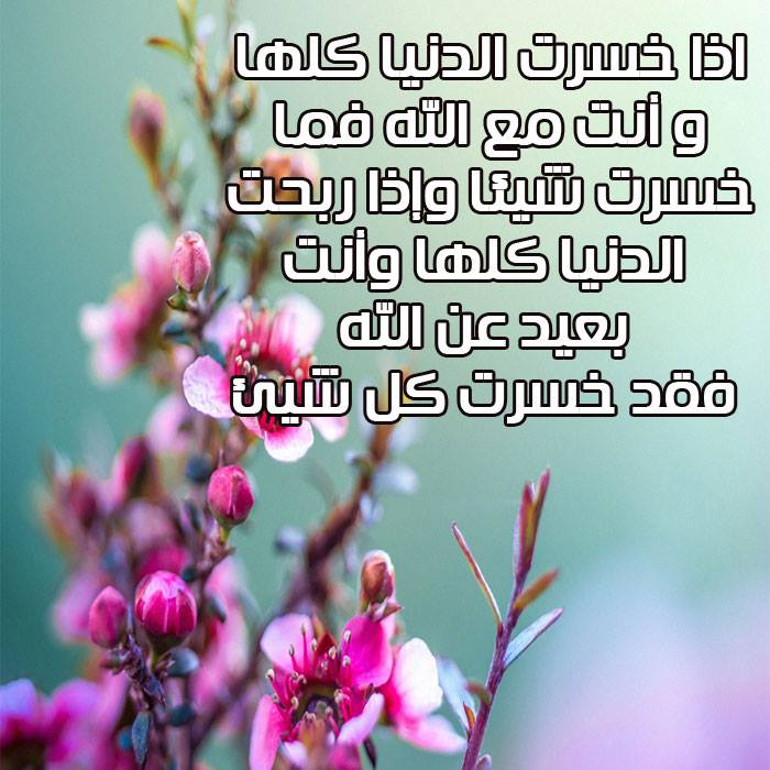 صورجميلة مكتوب عليها كلام جميل