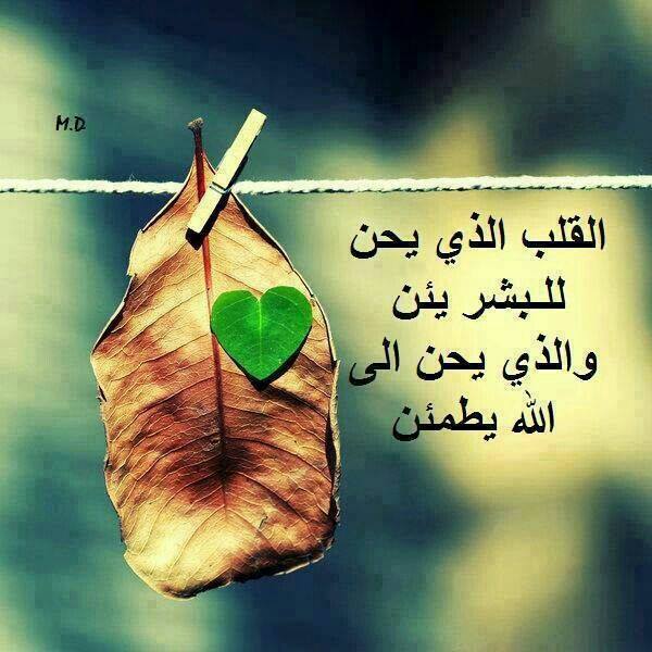 صورجميلة