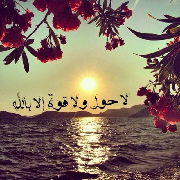 صورجميلة