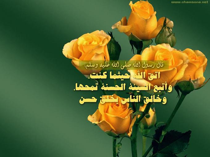 صورجميلة