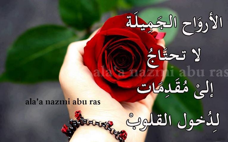 صورجميلة