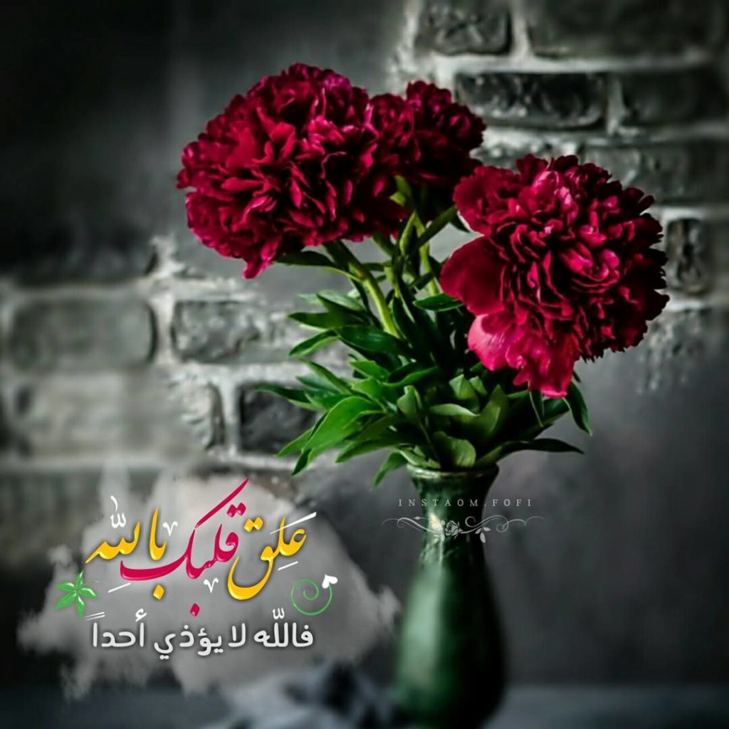 صورجميلة