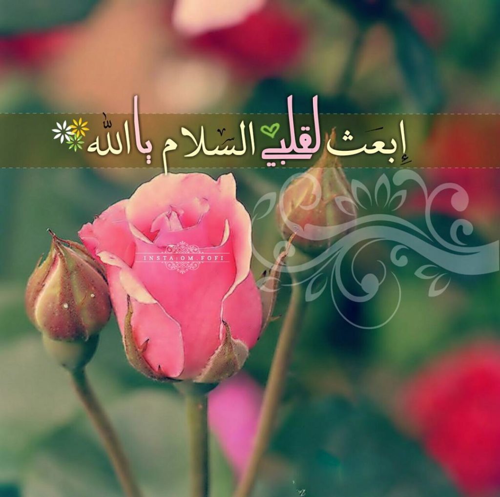 صورجميلة