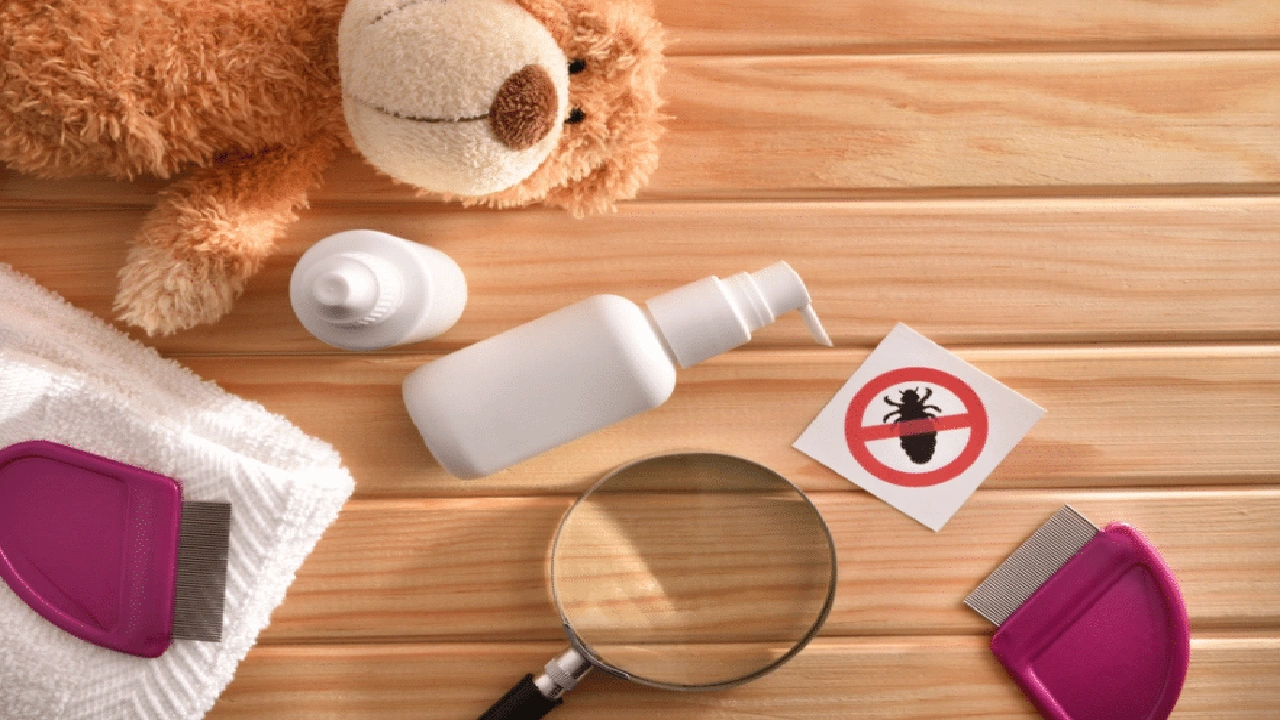 صورة طريقة التخلص من القمل والصيبان في يوم واحد نهائيا 