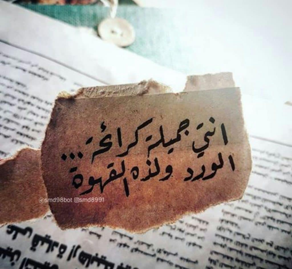 عبارات انتي جميله بالانجليزي