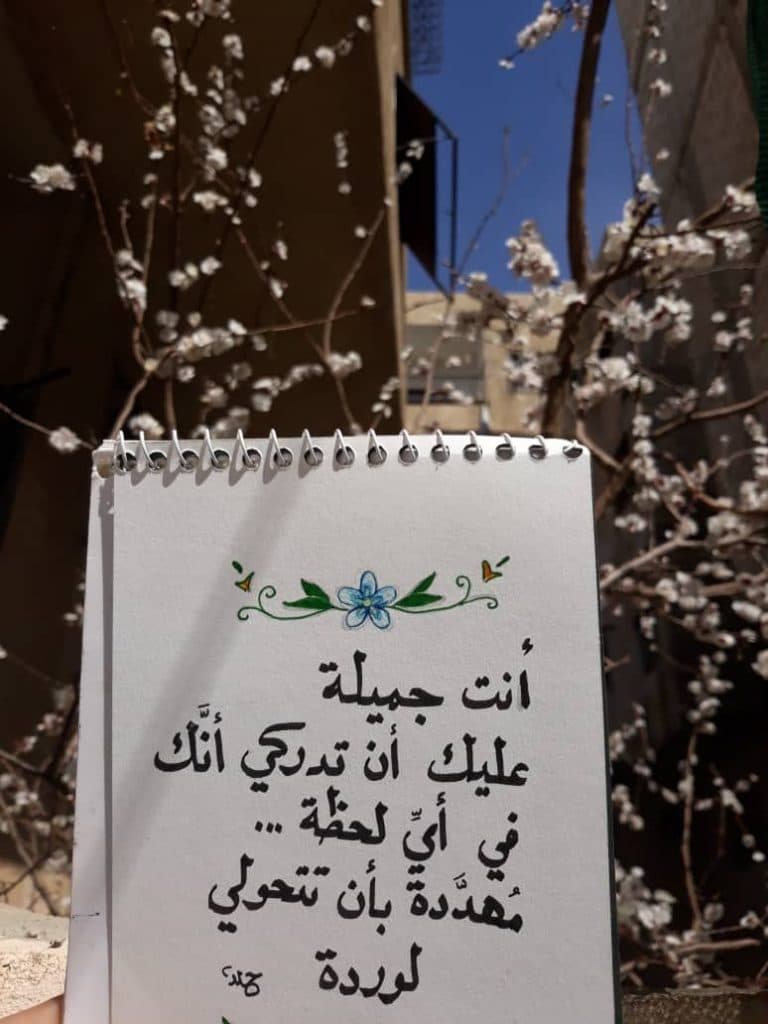 عبارات انتي جميله بالانجليزي