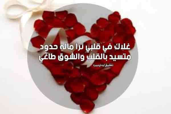 عبارات اهداء كتاب لشحص