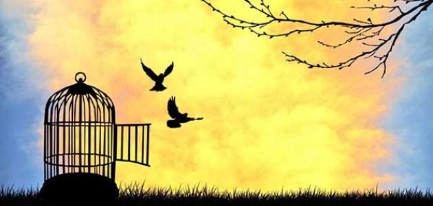 عبارات بالفرنسية عن الطبيعة