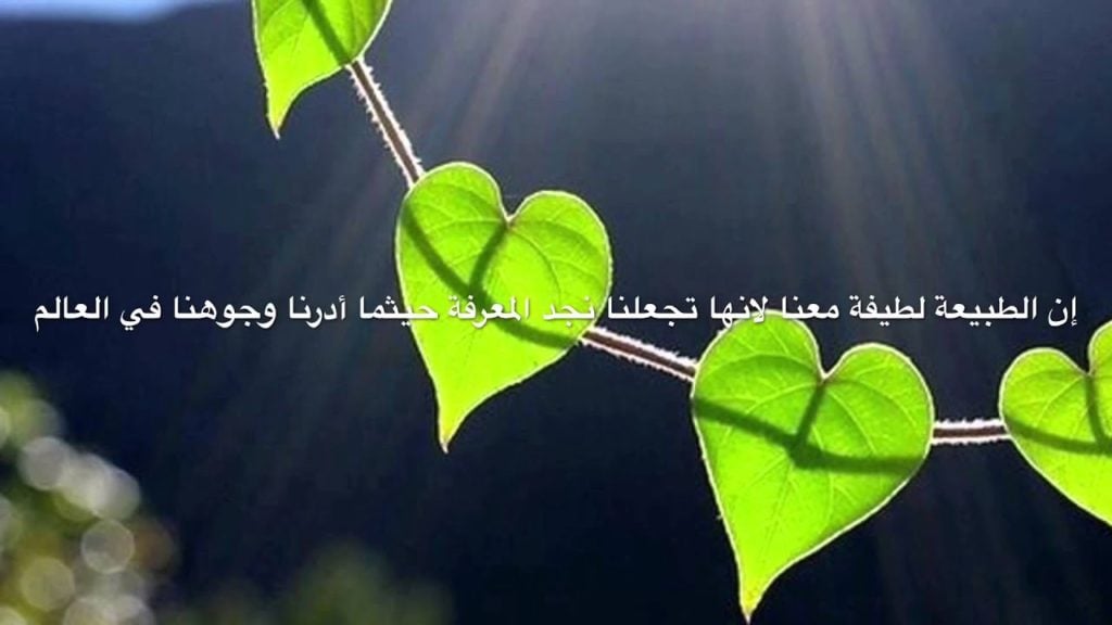 عبارات بالفرنسية عن الطبيعة