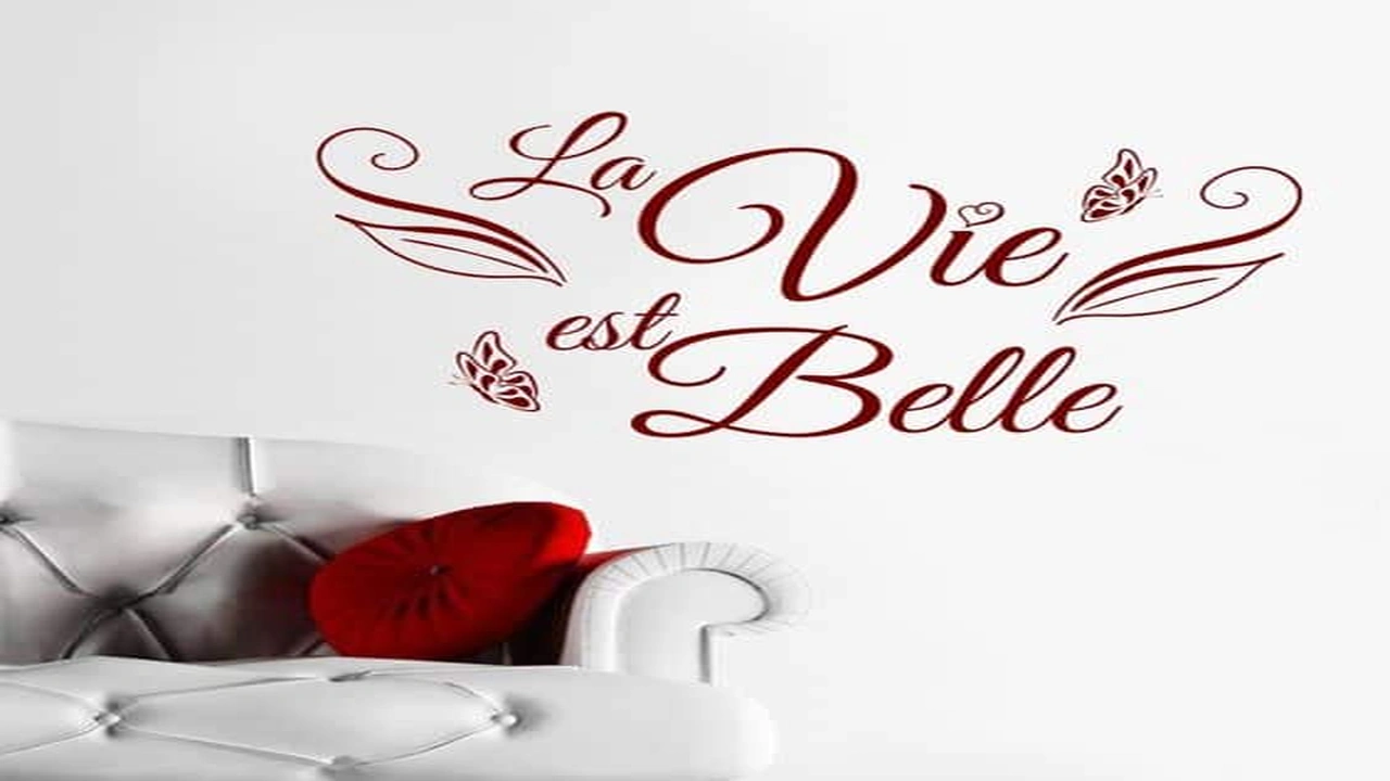 صورة عبارات بالفرنسية مترجمة بالعربية عن الحياة