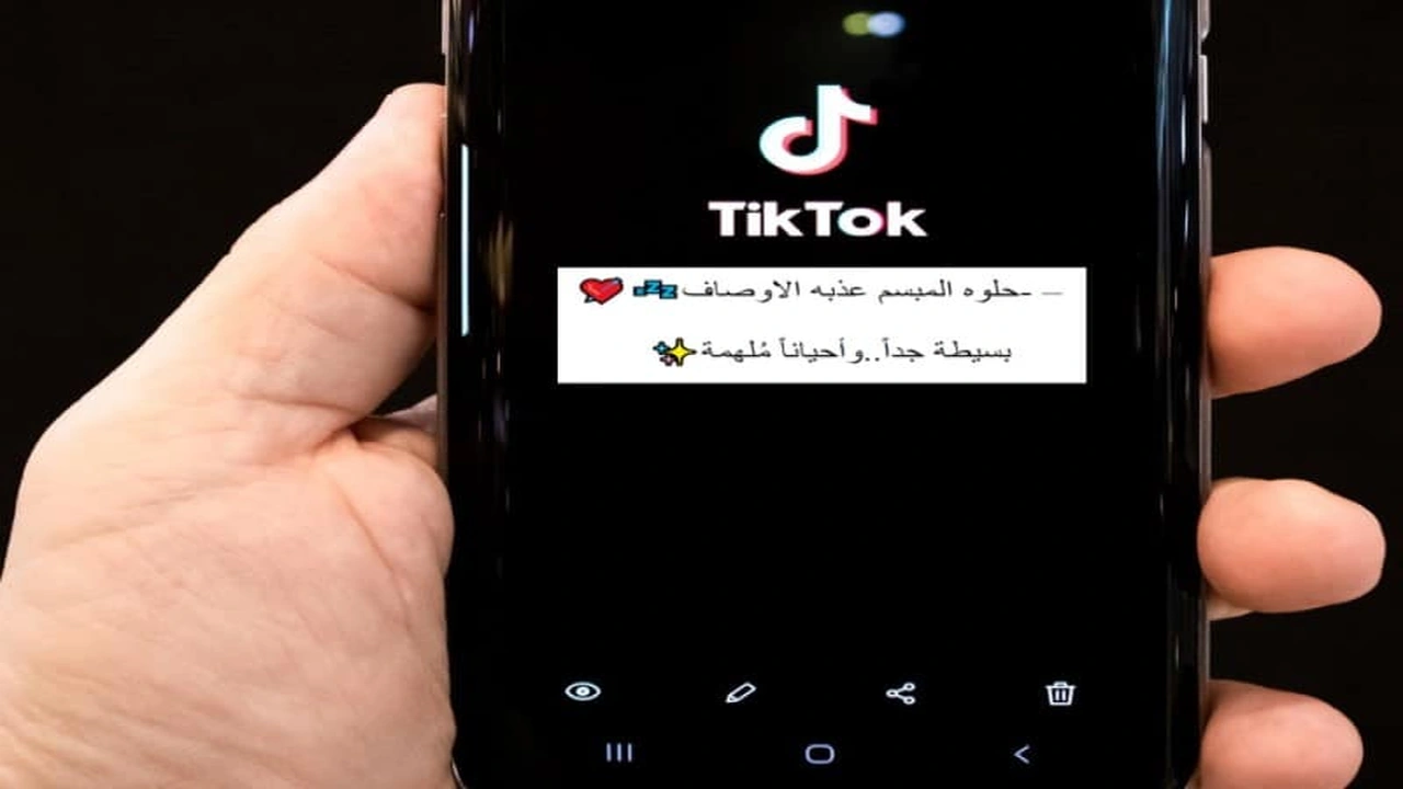 صورة عبارات بايو تيك توك