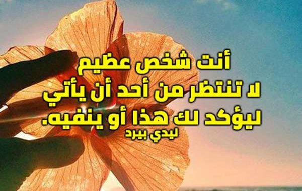 عبارات تحفيزية للدراسة
